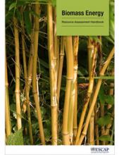 P5 Biomass Energy Handbook Cover